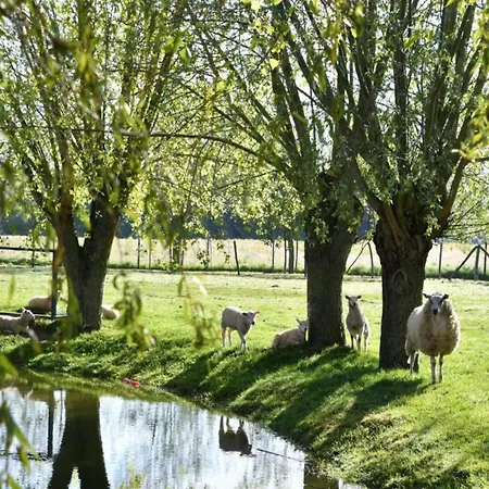 In Near The Apartment Nieuwpoort