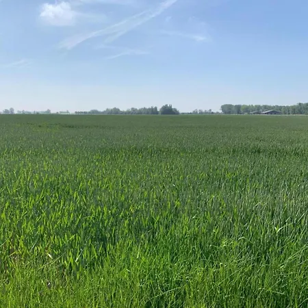 Apartamento In Near The *