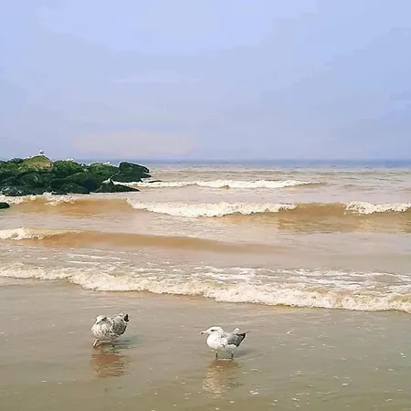 In Near The Apartment Nieuwpoort