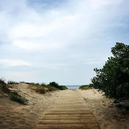 Apartamento In Near The