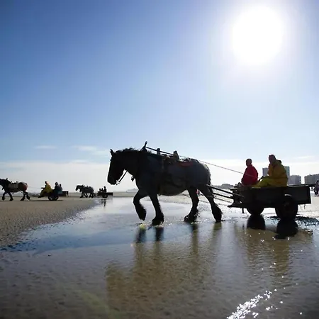 In Near The Apartment