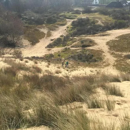 In Near The Apartamento *